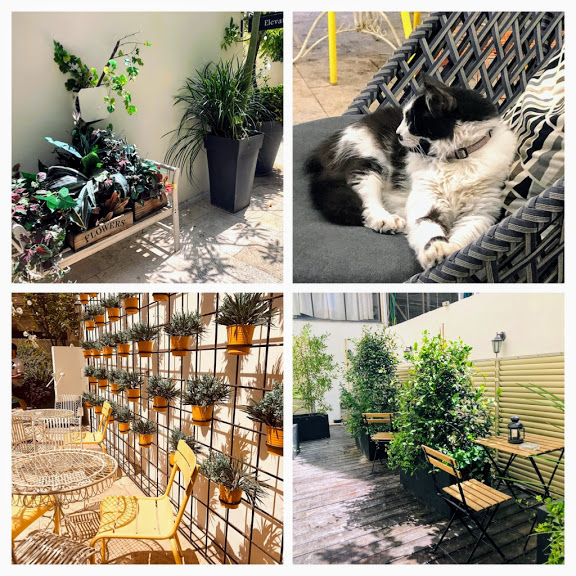 מלון בוטיק white house תל אביב