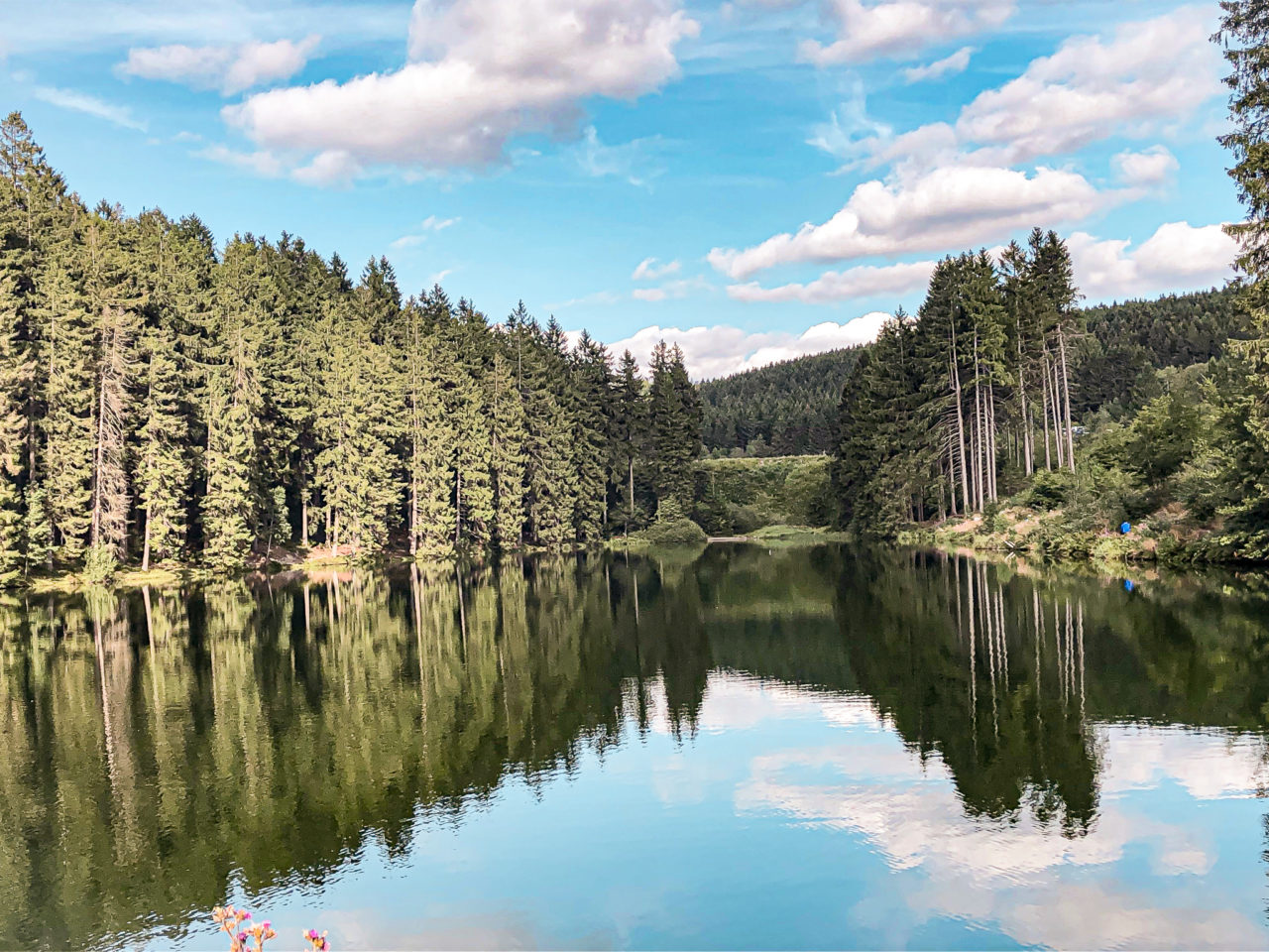 מסלול ספסלי האוהבים (Liebesbankweg)