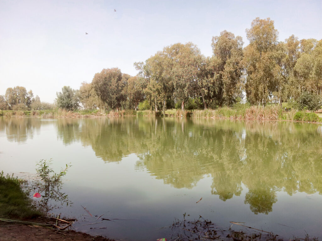 פארק מקןרות הירקון