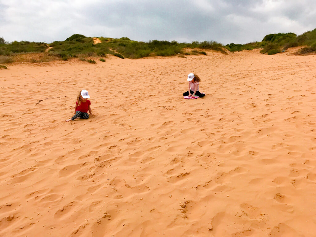 הדיונה בוינגייט