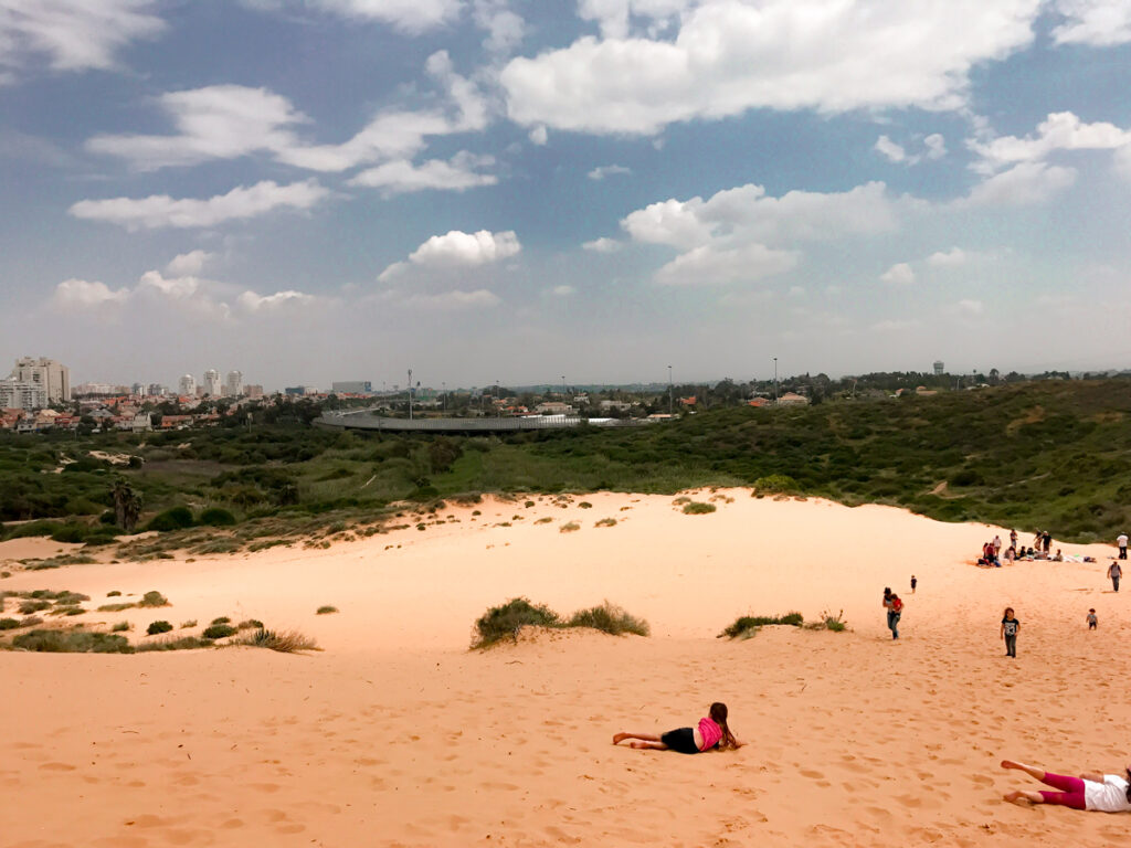 הדיונה וינגייט