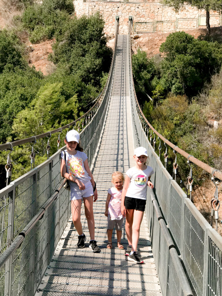 הגשרים התלויים בנשר