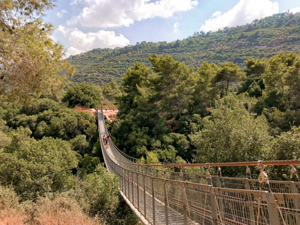 הגשרים התלויים בנשר