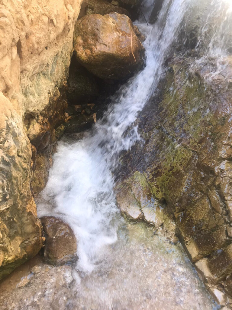 מסלול נחל דוד