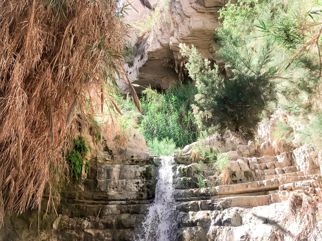 נחל דוד - עין גדי