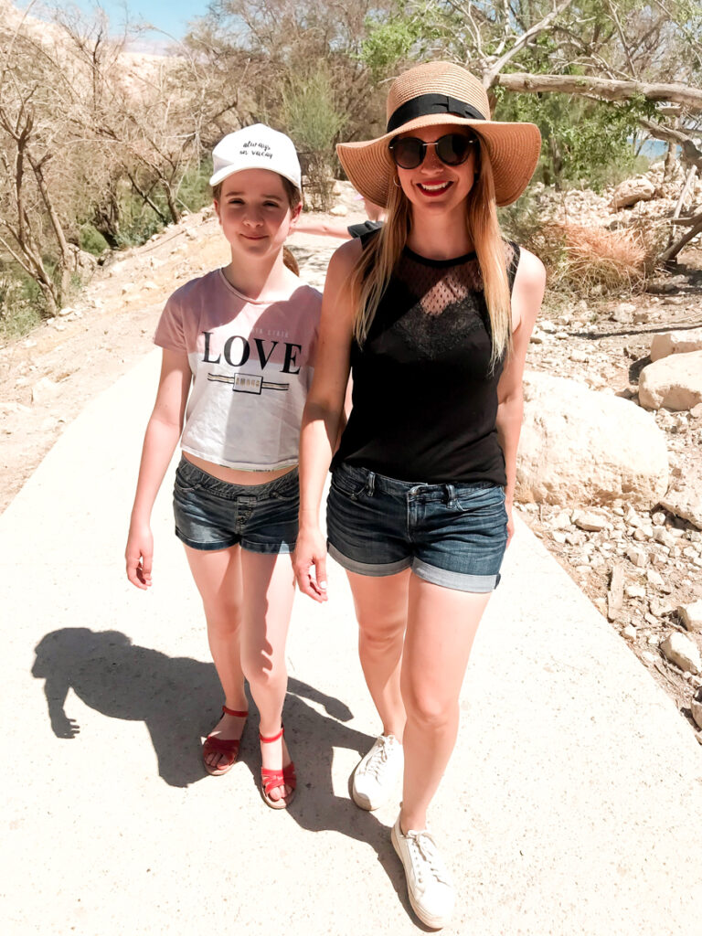 עין גדי נחל דוד