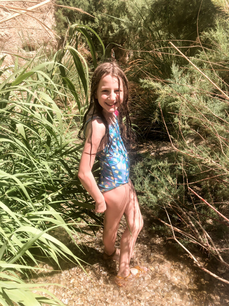 נחל דוד ים המלח