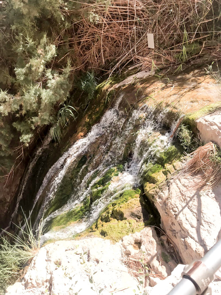 מסלול נחל דוד