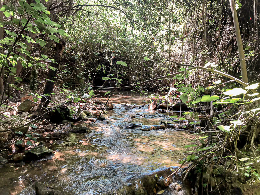 נחל עמוד - עין יקים
