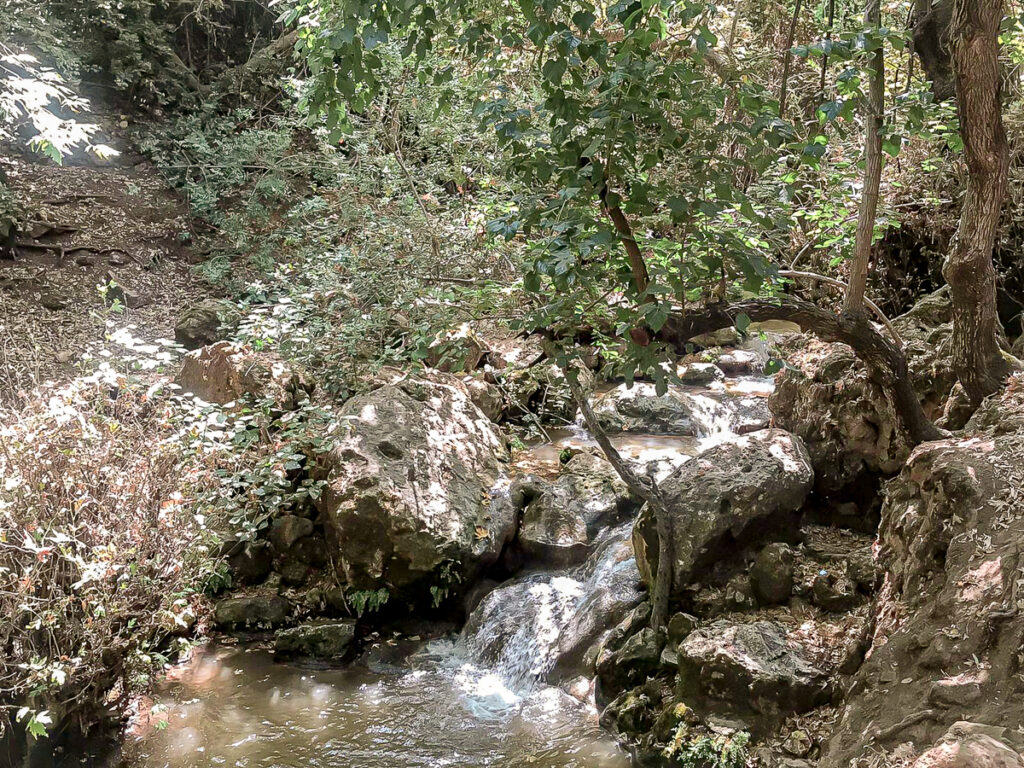 נחל עמוד - עין יקים