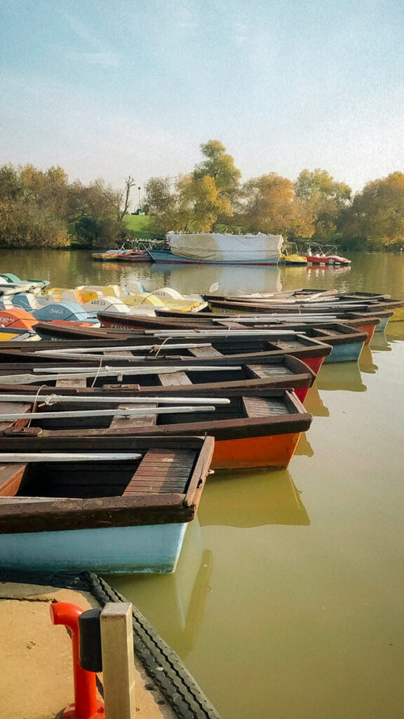 פארק הירקון האגם המלאכותי