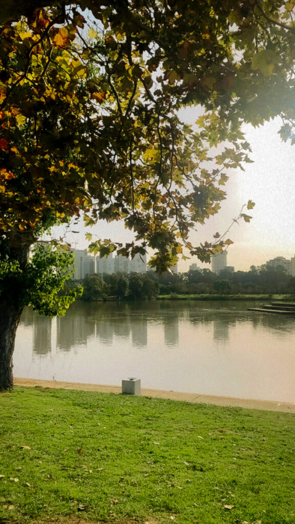 פארק הירקון - האגם המלאכותי