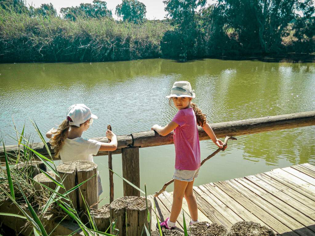 נחל אלכסנדר