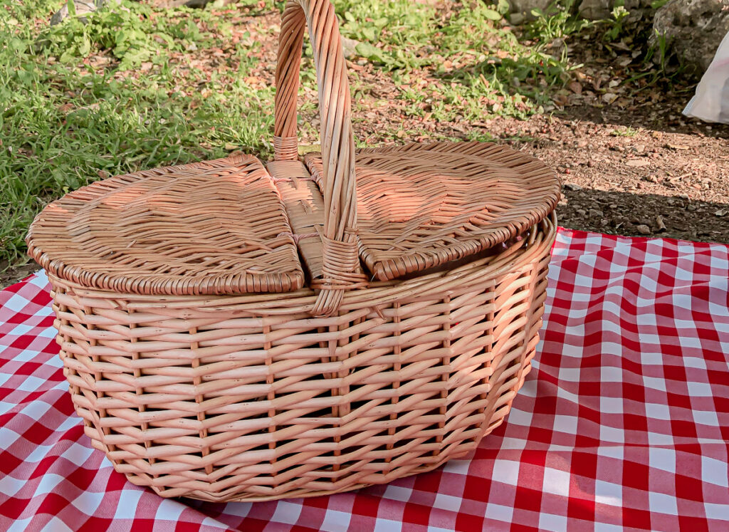 פיקניק מושלם