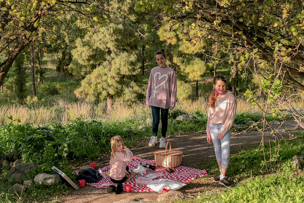 יער כוכב יאיר