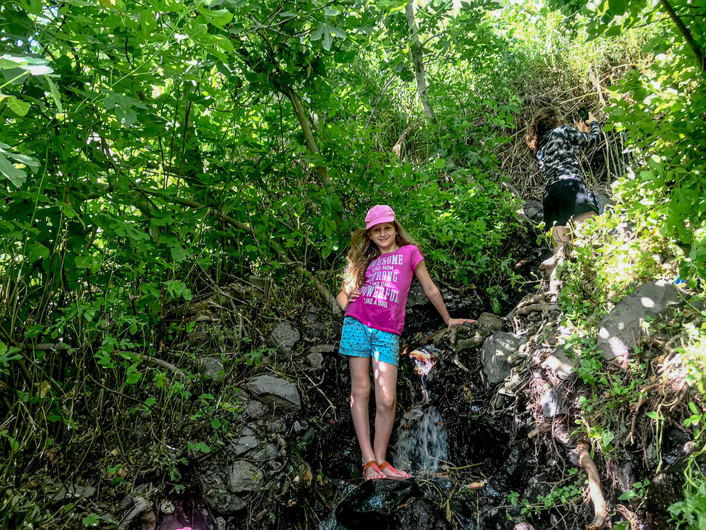 עין תינה עלייה למסלול