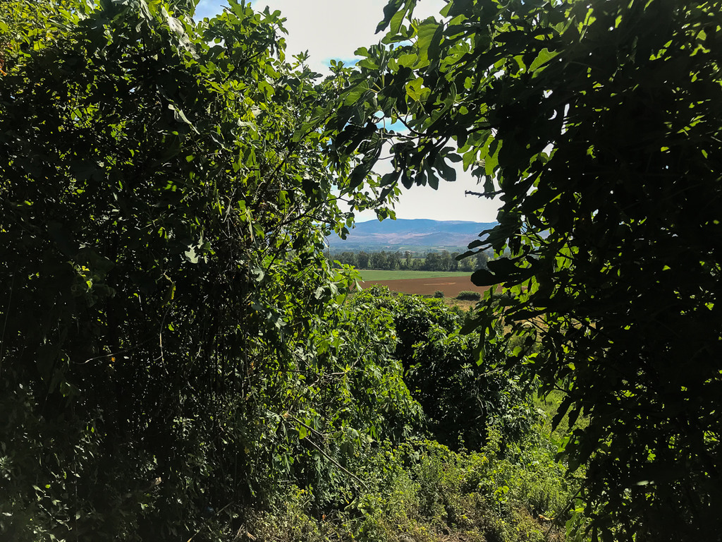 עין תינה משקיף לעבר עמק החולה