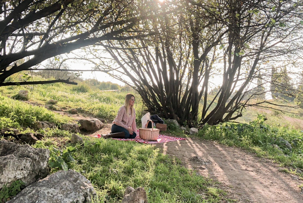 יער כוכב יאיר