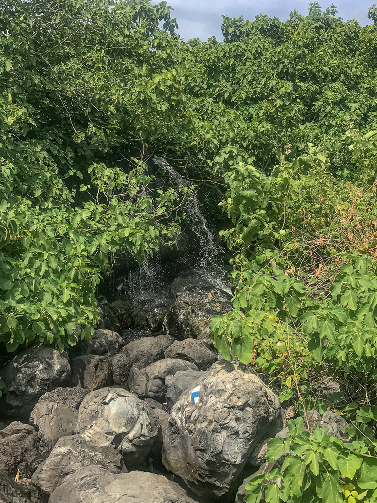 עין תינה ראש המפל