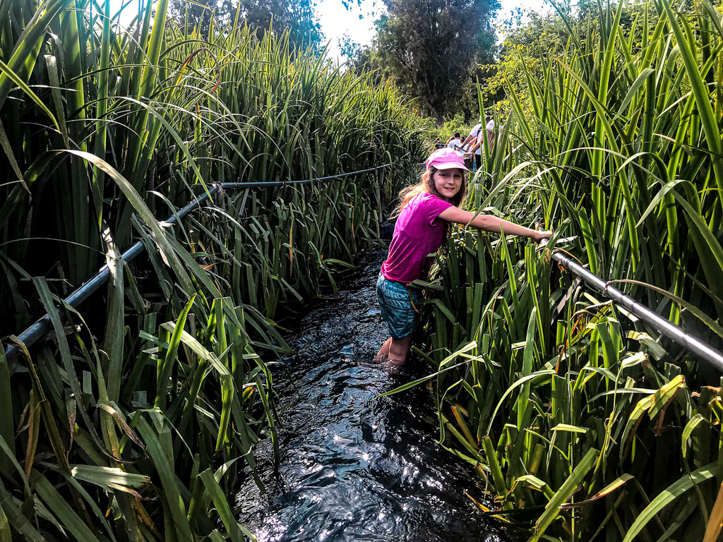 מעקות בחלקים השוצפים של המעיין