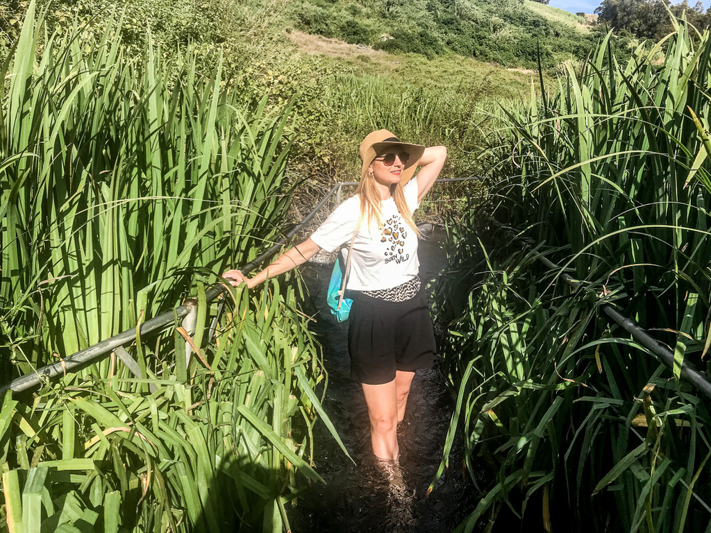 עין תינה - הדרך למסלול