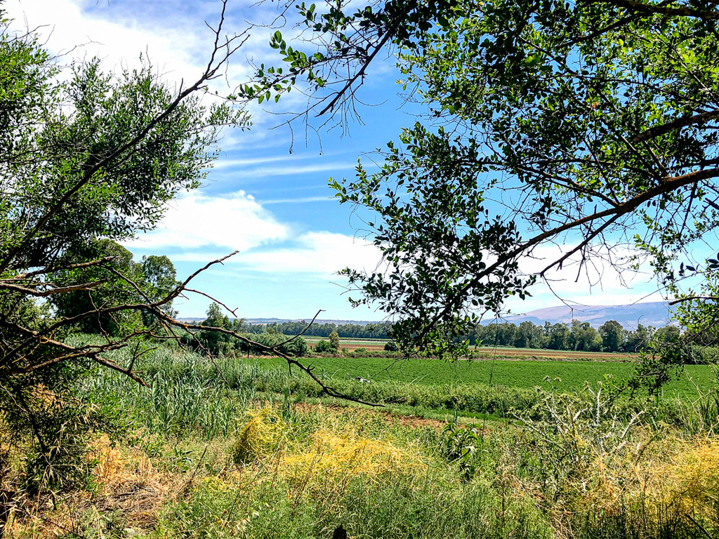 עין תינה הדרך למסלול