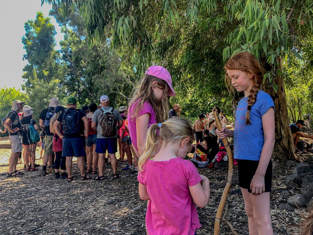 חורשת האקליפטוס