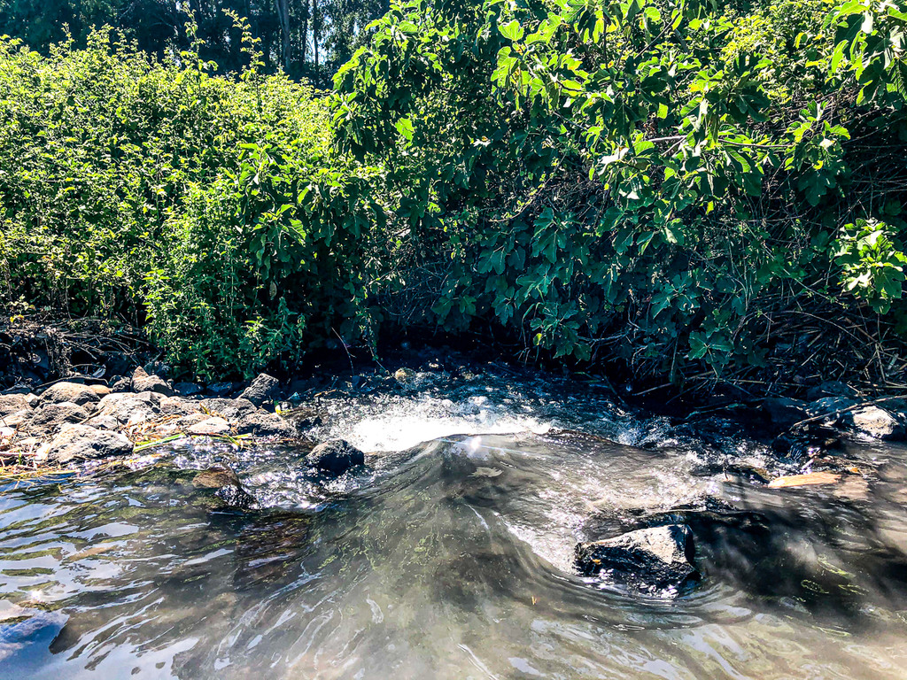 עיןתינה מסלול מים