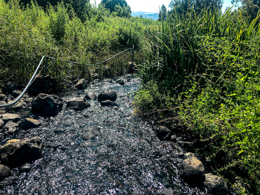 עין תינה - זרימת המים