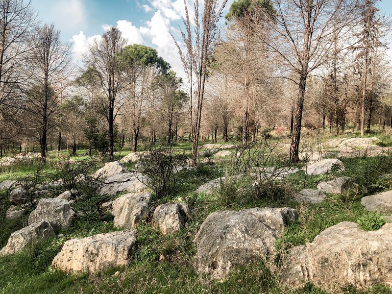 פארק יער שוהם