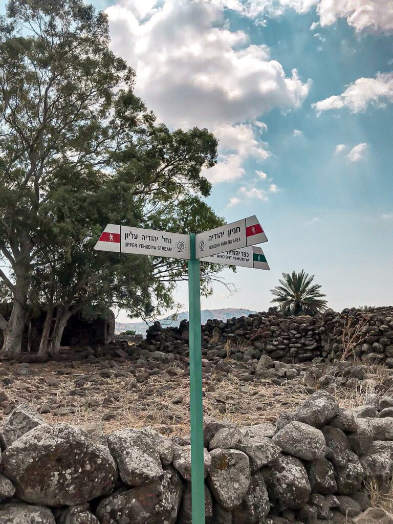 נחל יהודיה - מסלול ברמת הגולן