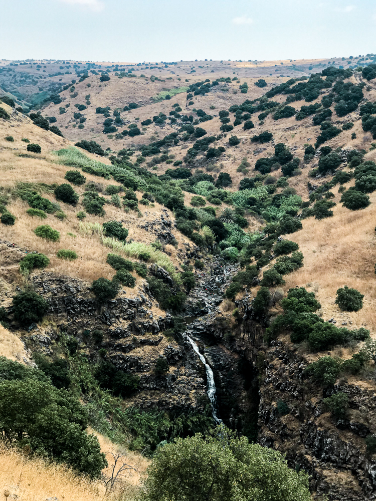 קניון יהודיה