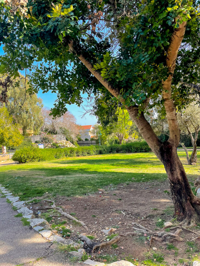 סובב זכרון יעקב