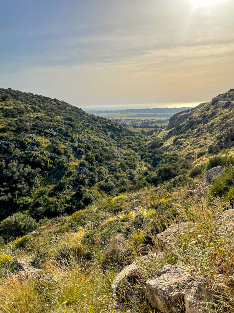 סובב זכרון יעקב