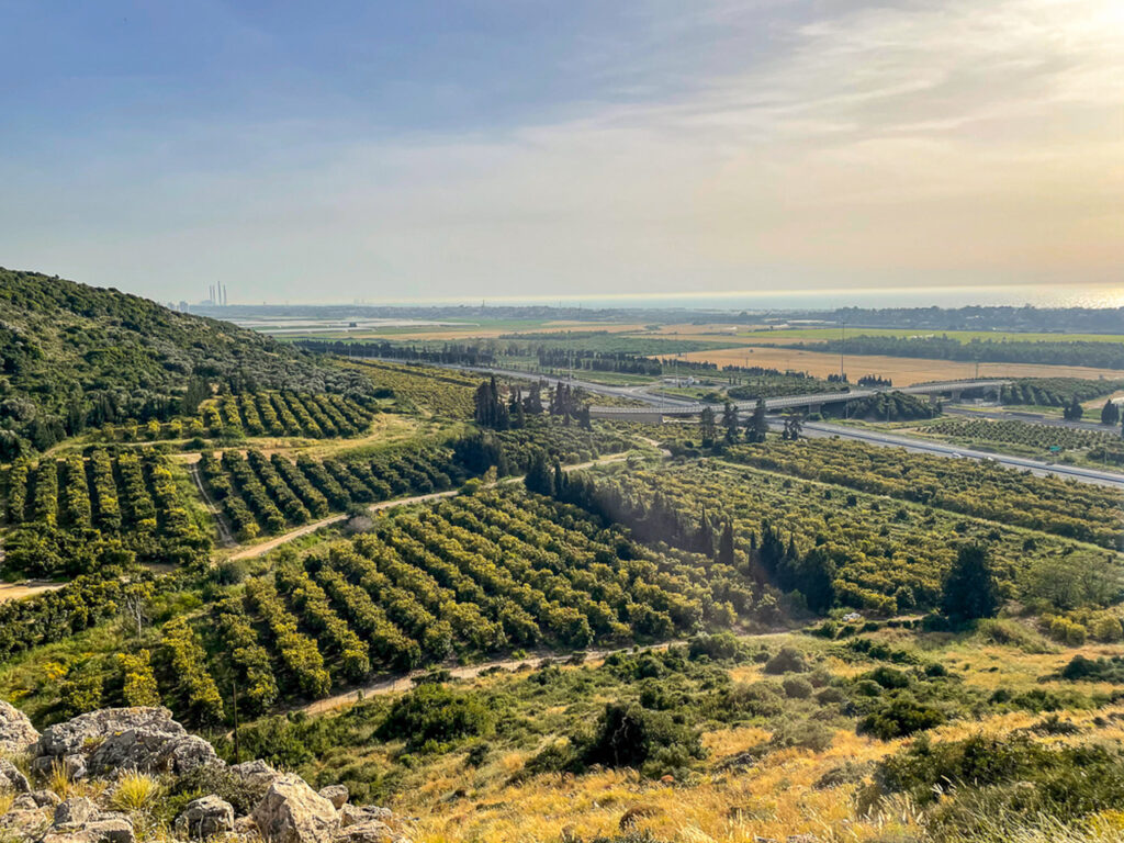 סובב זכרון יעקב