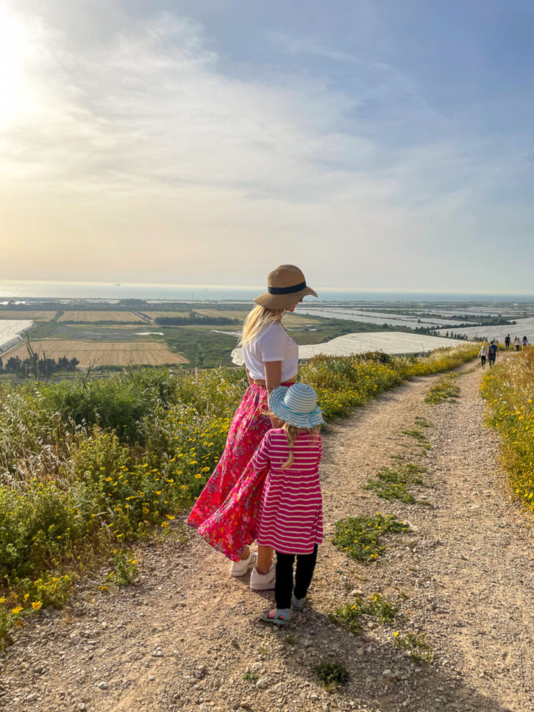 סובב זיכרון יעקב