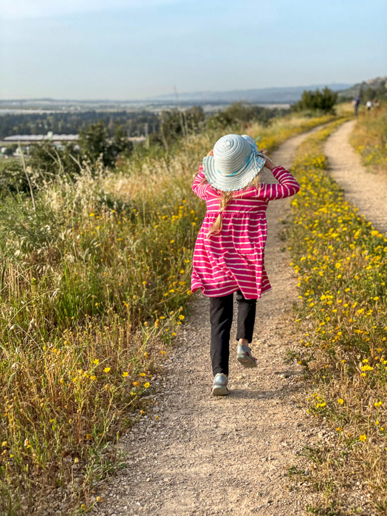 סובב זכרון יעקב