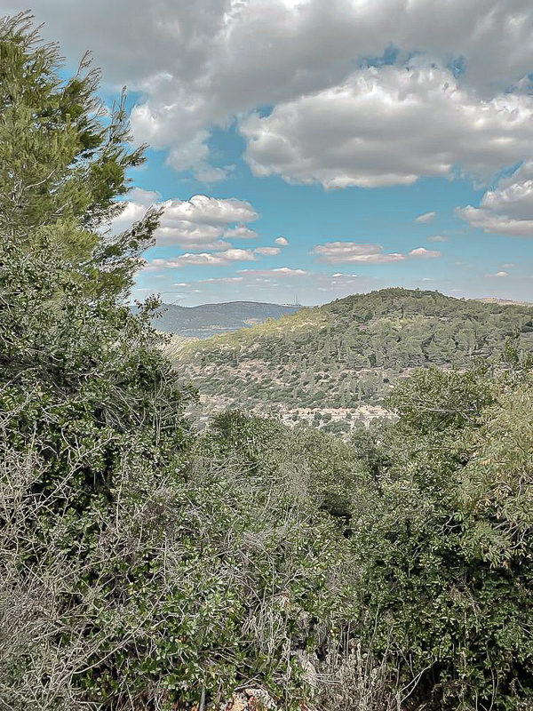 מסלול נחל קטלב