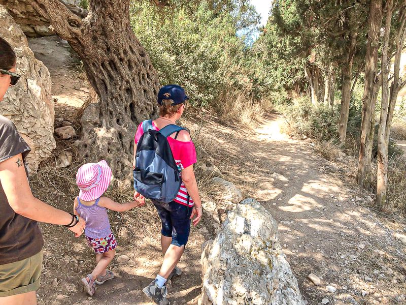 נחל שיח חיפה