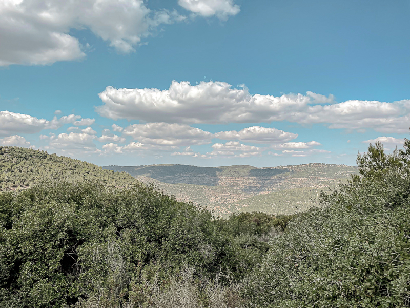 נחל קטלב - נוף להרי ירושלים
