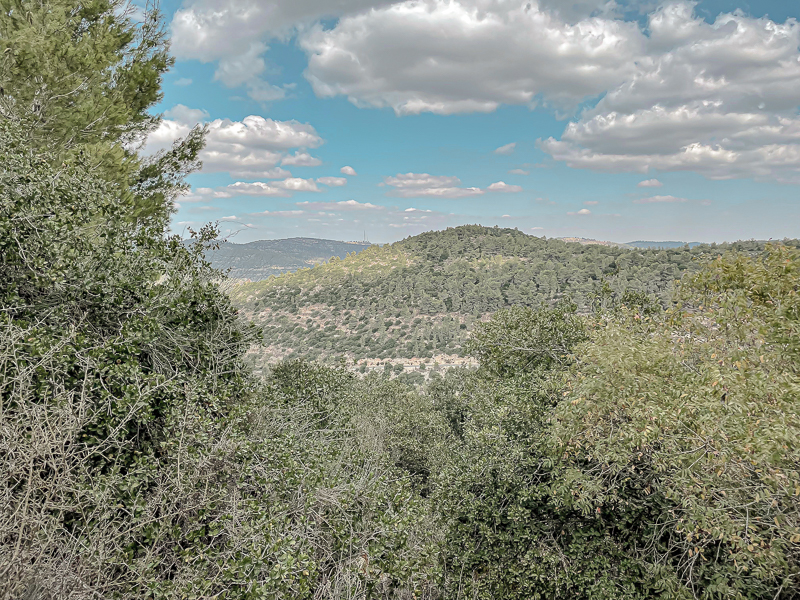 שביל נופי נחל קטלב
