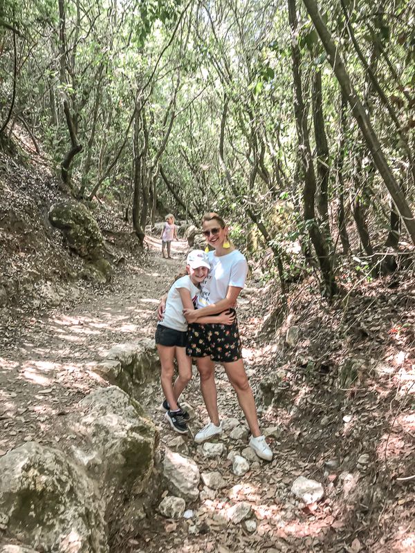 הגשרים התלויים בנשר