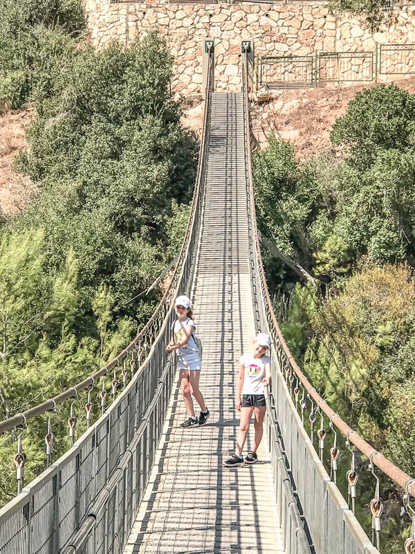 הגשרים התלויים בנשר