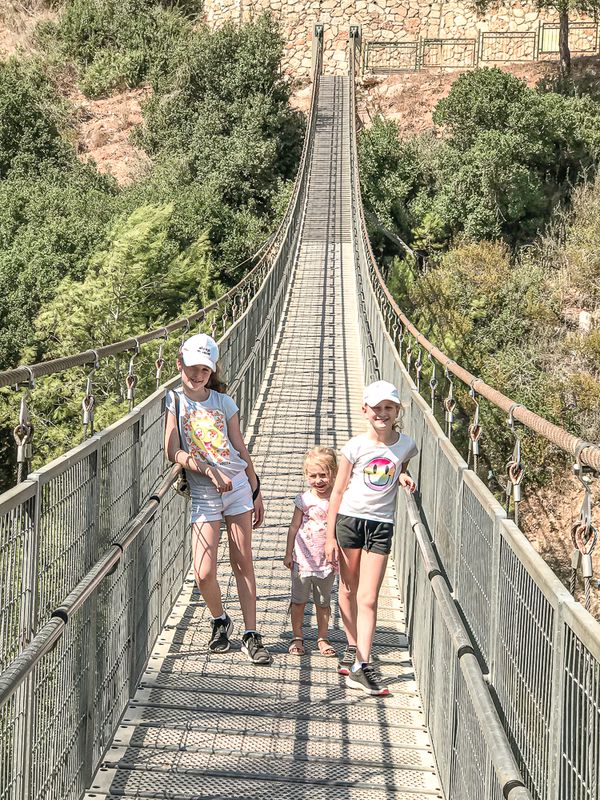 הגשרים התלויים בנשר