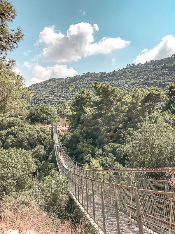 הגשרים התלויים בנשר