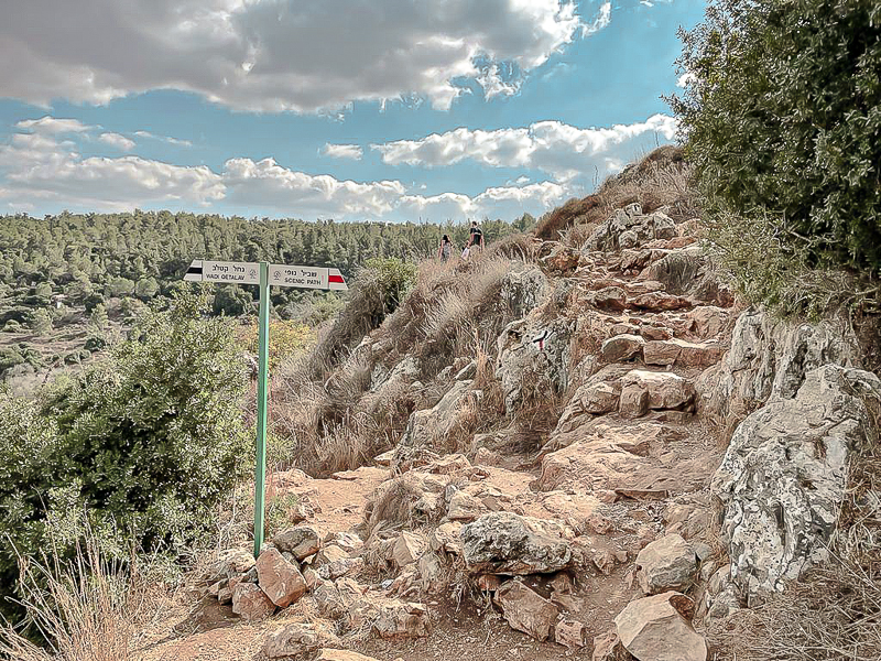 נחל קטלב - המסלול האדום