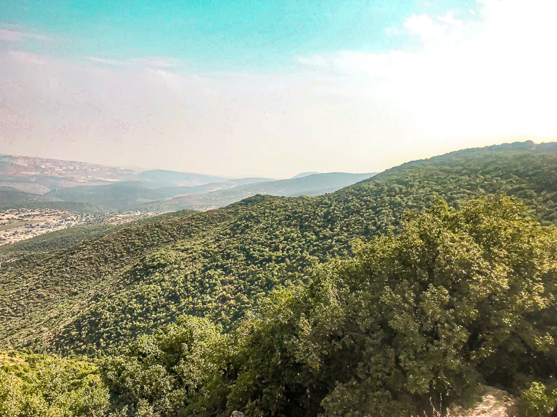 תצפית משביל הפסגה