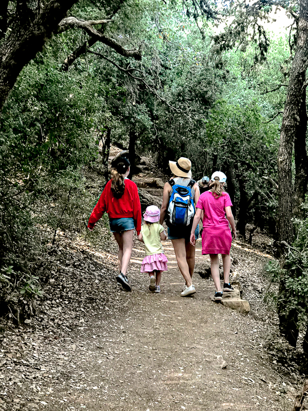 שביל הפסגה הר מירון