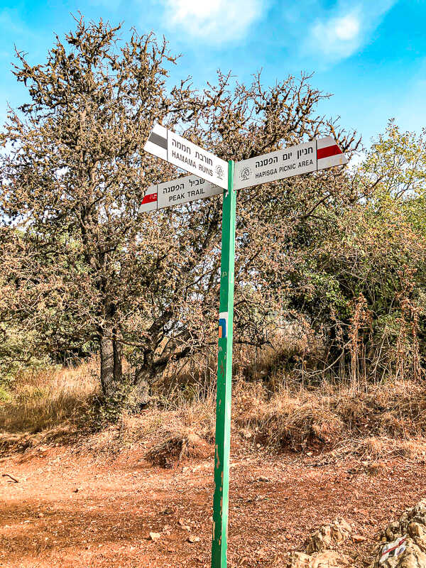 פיצול שביל הפסגה - חזרה לחניון