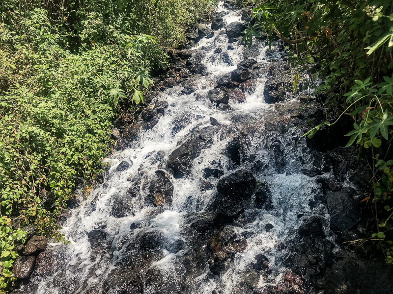 עין דיבשה - מסלול לכל המשפחה